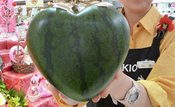20090510melonheart.jpg
